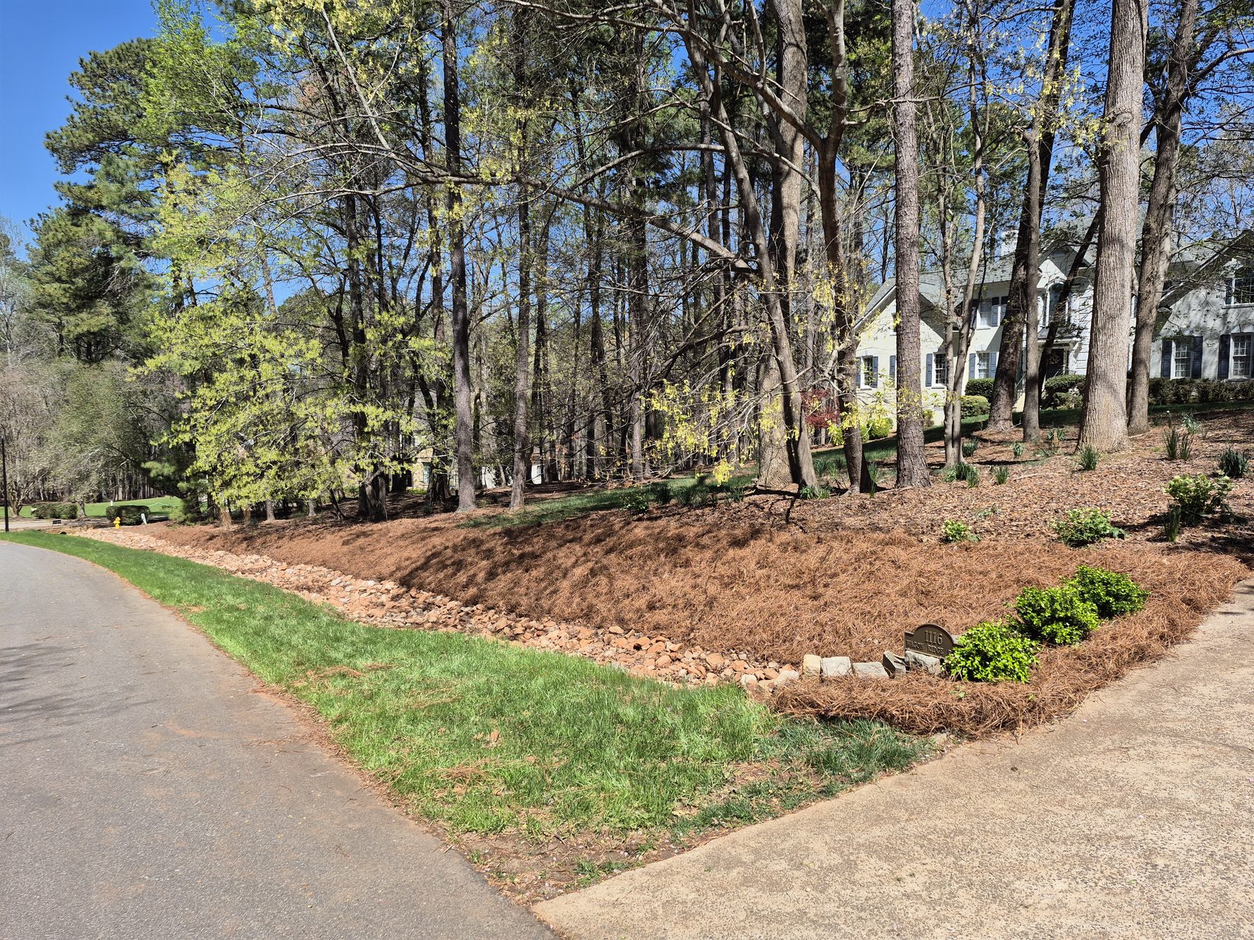 Professionally edged and mulched bed along a wooded property