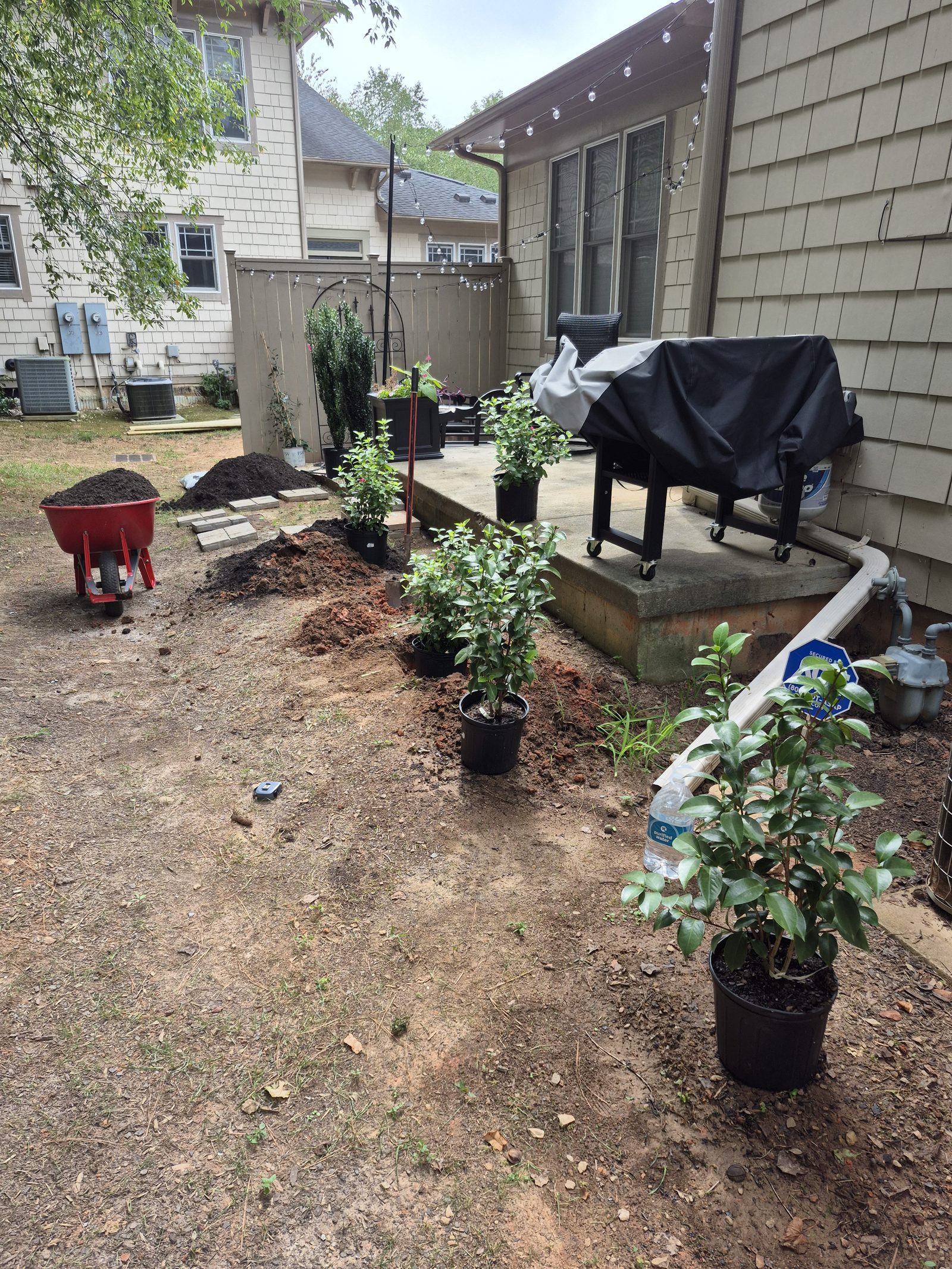 Soil and mulch being brought in with new shrubs staged for planting