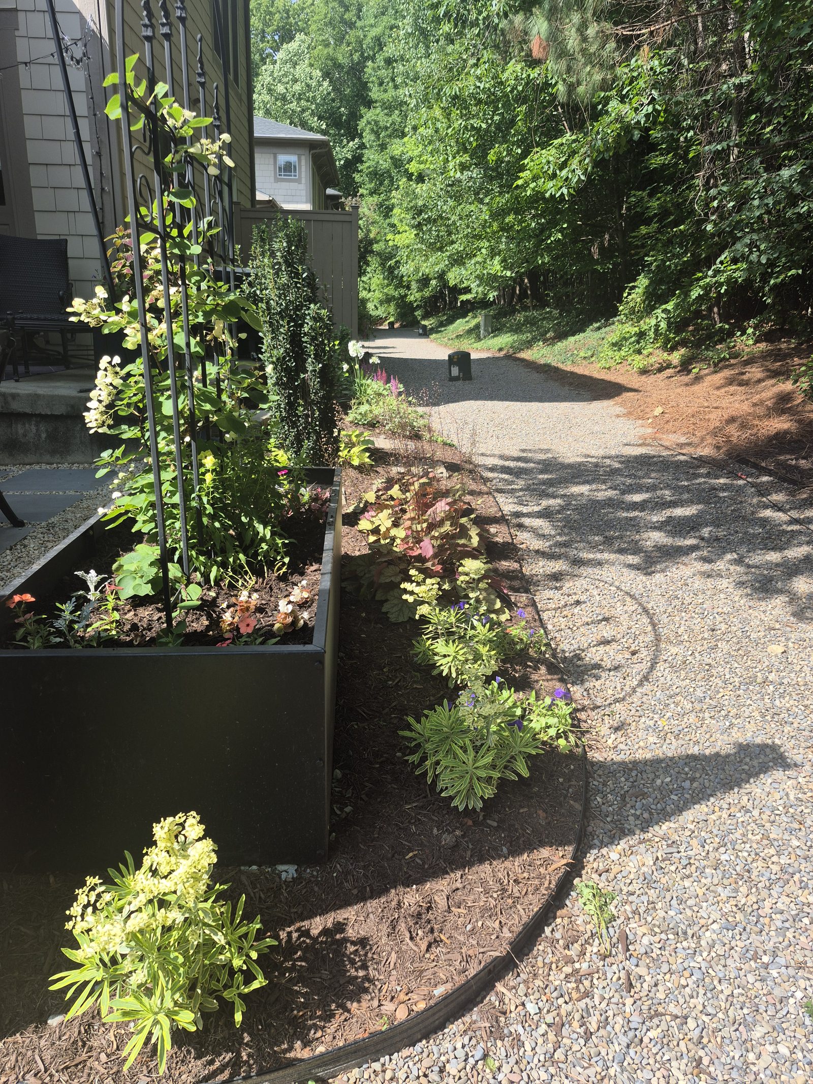 Planting bed filling in with stepping stones and gravel path installed
