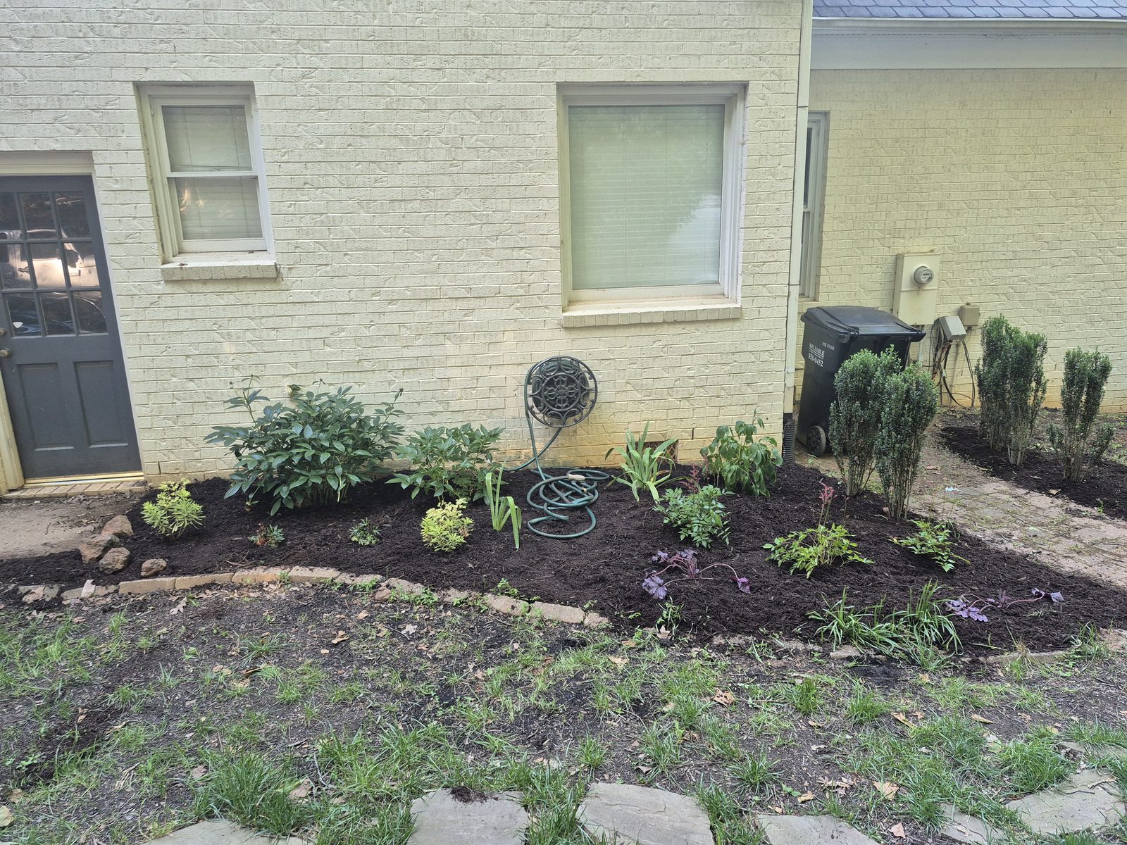Mulched bed with young perennials and boxwood establishing