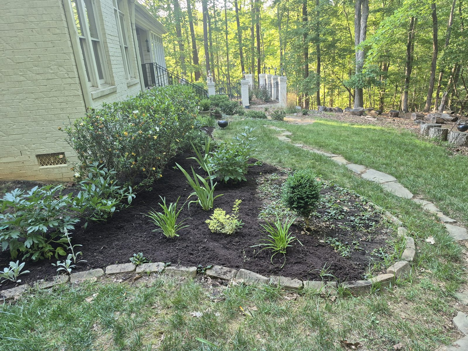 Wide view of the woodland garden bed maturing along the path