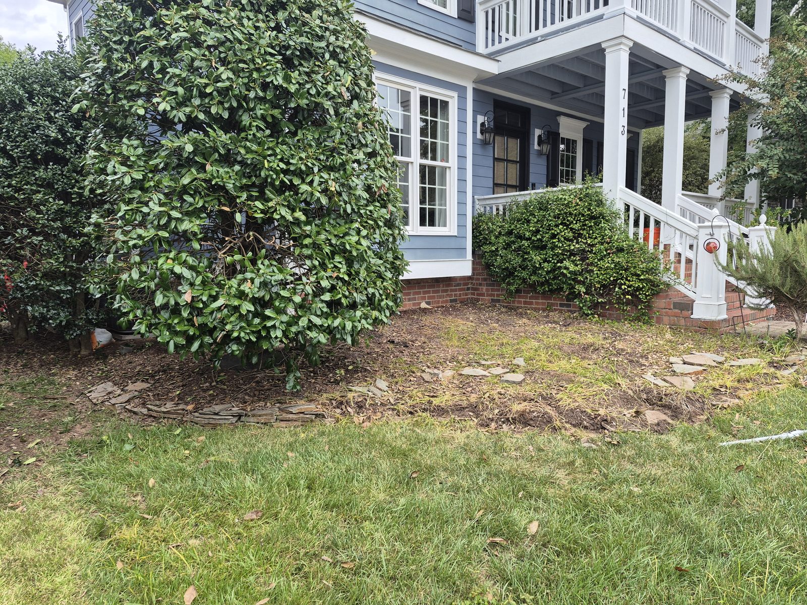 Foundation bed before renovation, sparse and freshly mulched